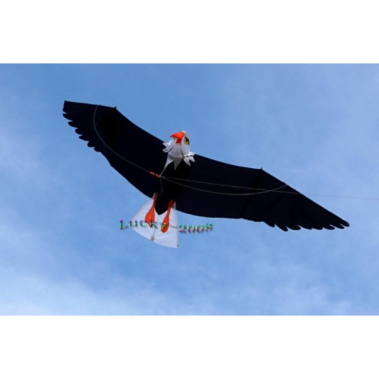High Quality 3D Eagle Kite single line stunt kite Outdoor Sports Toys for kids
