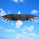 High Quality 3D Eagle Kite single line stunt kite Outdoor Sports Toys for kids