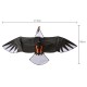 High Quality 3D Eagle Kite single line stunt kite Outdoor Sports Toys for kids