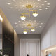 26*24CM 12W 220V LED Ceiling Light Corridor Porch Ceiling Light Modern Nordic Creative Star Sky Projection Lamp