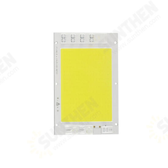 100W LED COB Chip Light Smart IC Driver DIY For Waterproof Floodlight Spotlight AC190-240V