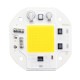 30W Warm/White DIY COB LED Chip Bulb Bead For Flood Light AC180-240V