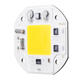 30W Warm/White DIY COB LED Chip Bulb Bead For Flood Light AC180-240V