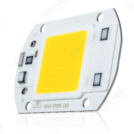 40 X 60MM 30W 2600LM Warm/White DIY COB LED Chip Bulb Bead For Flood Light AC110/220V