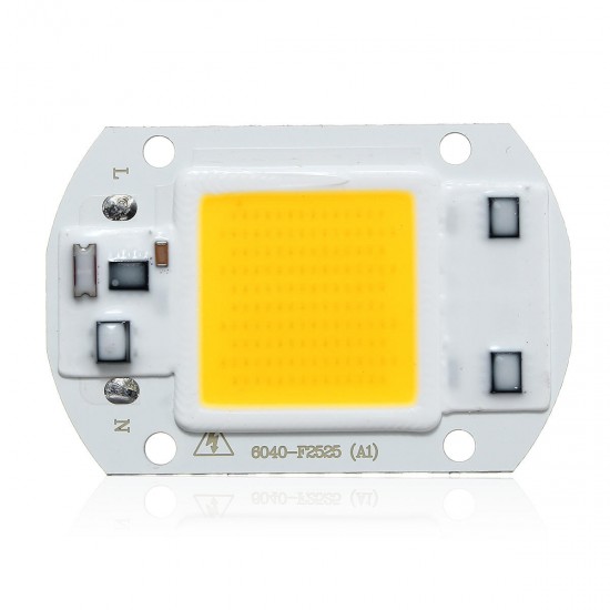 40 X 60MM 30W 2600LM Warm/White DIY COB LED Chip Bulb Bead For Flood Light AC110/220V