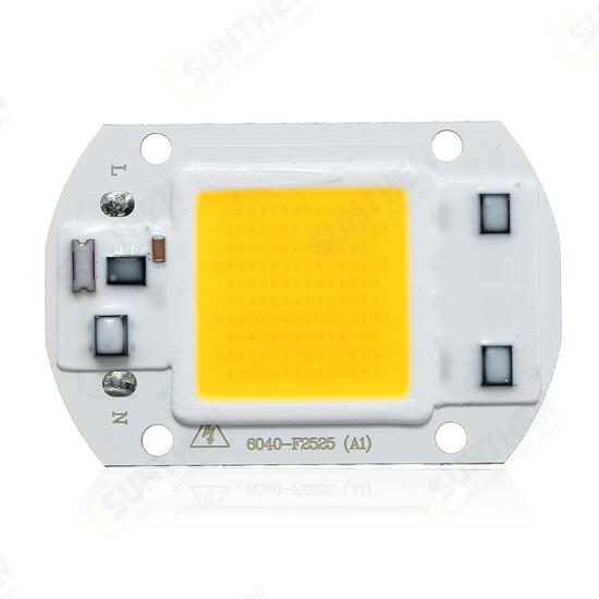 40 X 60MM 30W 2600LM Warm/White DIY COB LED Chip Bulb Bead For Flood Light AC110/220V