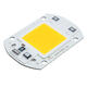 40 X 60MM 30W 2600LM Warm/White DIY COB LED Chip Bulb Bead For Flood Light AC110/220V