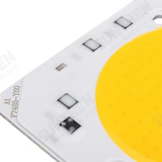 40W LED COB Chip Integrated Smart IC Driver for Flood Light AC110V / AC220V