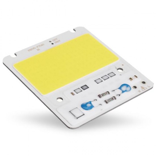 50W LED COB Chip Integrated Smart IC Driver for Flood Light AC110V / AC220V