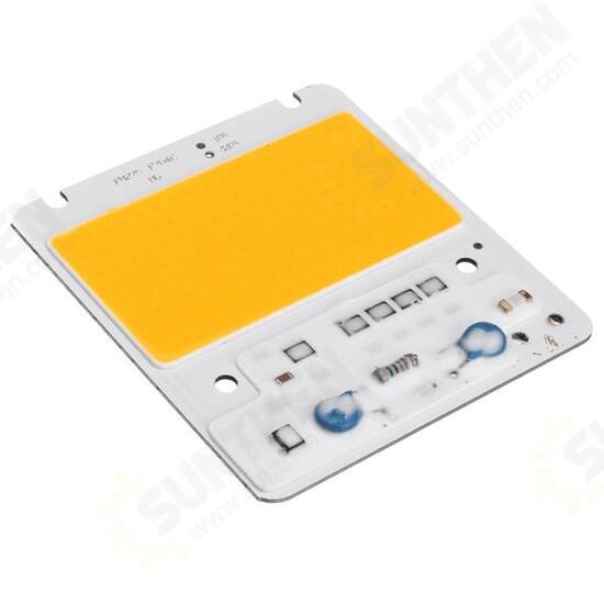 50W LED COB Chip Integrated Smart IC Driver for Flood Light AC110V / AC220V