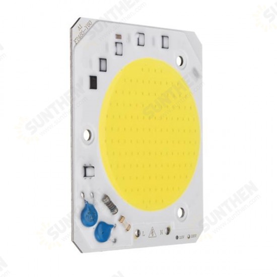 50W LED COB Chip Integrated Smart IC Driver for Floodlight AC110V / AC220V