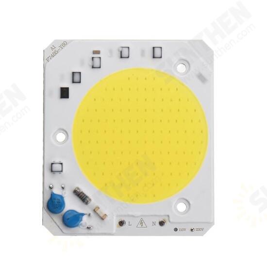 50W LED COB Chip Integrated Smart IC Driver for Floodlight AC110V / AC220V