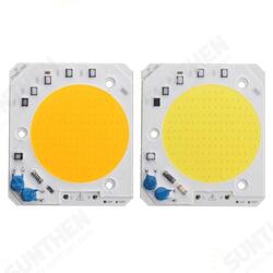 50W LED COB Chip Integrated Smart IC Driver for Floodlight AC110V / AC220V 50W LED COB Chip Integrated Smart IC Driver for Floodlight AC110V / AC220V