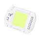 AC220V 50W COB LED Chip Red Green Blue Light Source for DIY Spotlight Floodlight Lamp