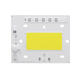 High Powered 50W LED Chip Light Source Anti-thunder AC220V for DIY Spotlight Floodlight