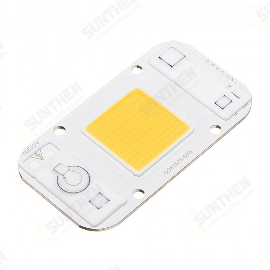 20W/30W/50W Warmwhite/White/Blue/Red/Green COB LED Chip Floodlight Spotlight AC220-240V