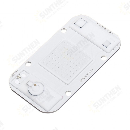 20W/30W/50W Warmwhite/White/Blue/Red/Green COB LED Chip Floodlight Spotlight AC220-240V