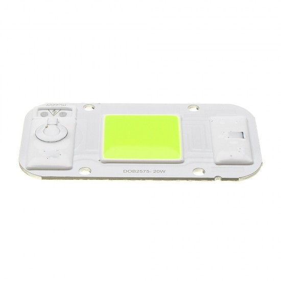 20W/30W/50W Warmwhite/White/Blue/Red/Green COB LED Chip Floodlight Spotlight AC220-240V