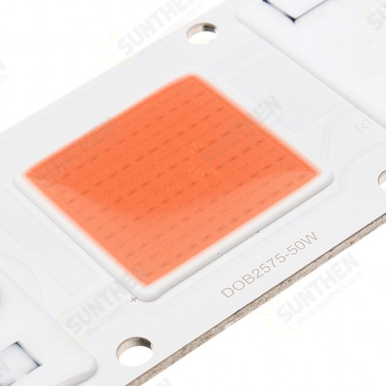 20W/30W/50W Warmwhite/White/Blue/Red/Green COB LED Chip Floodlight Spotlight AC220-240V