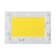 50W 100W Pure White/Nature White Thunder Protection COB LED Chip for Flood Light AC220-240V