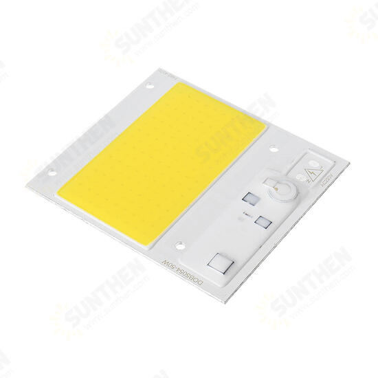 50W 100W Pure White/Nature White Thunder Protection COB LED Chip for Flood Light AC220-240V