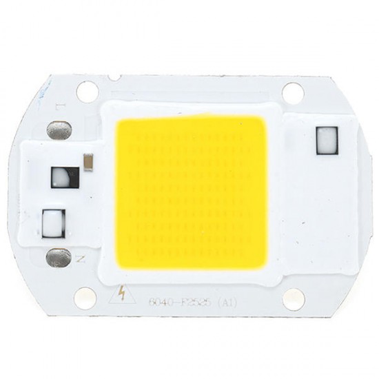 AC110V/220V 20W 30W 50W White/Warm White COB LED Chip 40X60mm for DIY Flood Light