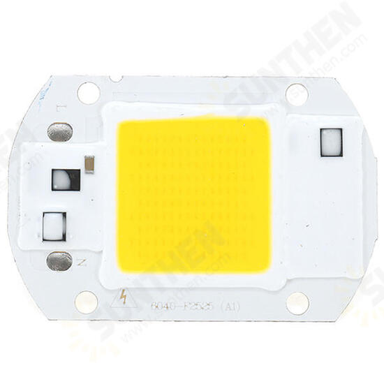 AC110V/220V 20W 30W 50W White/Warm White COB LED Chip 40X60mm for DIY Flood Light