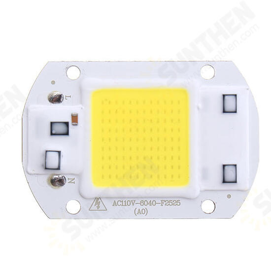 AC110V/220V 20W 30W 50W White/Warm White COB LED Chip 40X60mm for DIY Flood Light