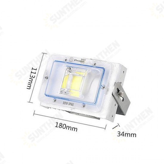 30W LED Flood Light Outdoor Waterproof IP65 Billboard Street Spotlight AC220V