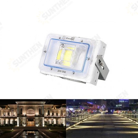 30W LED Flood Light Outdoor Waterproof IP65 Billboard Street Spotlight AC220V