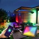 30W/50W/100W 220V RGB Smart LED Floodlight RGB CCT Wirelessly Dimmable Support Voice Control&Smartphone APP Control
