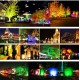 T-SUN 50W/100W Colorful LED Flood Light Outdoor RGBW Flood Lamp Park Tree Landscape Garden Stage Atmosphere Decor Spotlight Remote Control
