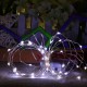 DSL-1 LED 4M 40LED Gardening String Light Garden Holiday Christmas Hollween Wedding Decoration Light