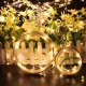 DSL-1 LED 4M 40LED Gardening String Light Garden Holiday Christmas Hollween Wedding Decoration Light