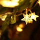 DSL-6 Gardening 5M 40LED String Light Star Shape Holiday Garden Party Wedding Decoration