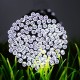 SSL-13 LED 7M 50LED Solar Panel String Light Holiday Garden Christmas Wedding Decoration