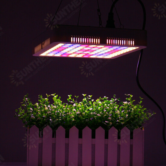 100 LED Grow Light Full Spectrum Panel For Indoor Hydro Veg Flower Plant Lamp