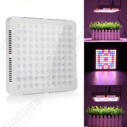 100 LED Grow Light Full Spectrum Panel For Indoor Hydro Veg Flower Plant Lamp 100 LED Grow Light Full Spectrum Panel For Indoor Hydro Veg Flower Plant Lamp