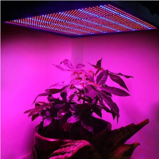 100W 1131Red 234Blue LED Grow Light Plant Growing Lamp Garden Greenhouse Plant Seedling Light