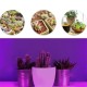 1/2/3 Head Plant Grow Light Head LED Lamp Hydroponics Greenhouse Garden 360° Flexible Indoor Dimmable