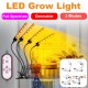1/2/3/4 Heads USB Plant Grow Light Strip Hydroponic with Securing Clip
