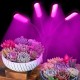 1/3/4 head LED Grow Light Full Spectrum Phyto Lamp USB Clip-on Grow Lamp for Plants Indoor Seedlings Flower Grow Tent Box Fitolamp