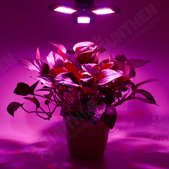 144 LED Grow Lights Panel Full Spectrum E27 LED Plant Growth Greenhouse Lamp