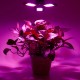 144 LED Grow Lights Panel Full Spectrum E27 LED Plant Growth Greenhouse Lamp