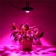 144LED COB Plant Grow Light Full Spectrum 380-800nm 4000K Hydroponic Growth Lamp