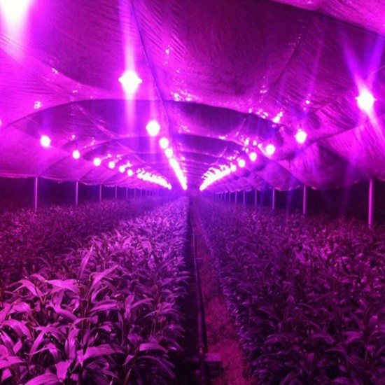 20W LED COB Round Grow Light Chip DIY with AC90-240V Driver Power Supply for Indoor Plant Flower