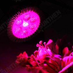 21W E27 Red + Blue LED Plant Grow Light Lamp Flower Hydroponic Globe Bulb 85-265V 21W E27 Red + Blue LED Plant Grow Light Lamp Flower Hydroponic Globe Bulb 85-265V