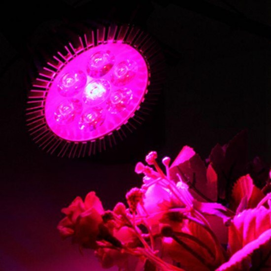 21W E27 Red + Blue LED Plant Grow Light Lamp Flower Hydroponic Globe Bulb 85-265V