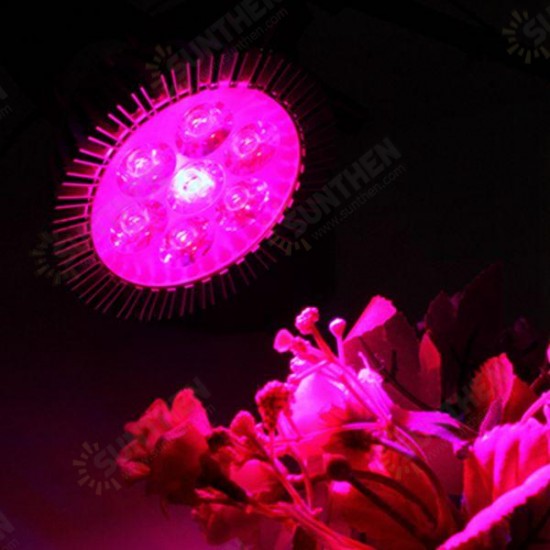 21W E27 Red + Blue LED Plant Grow Light Lamp Flower Hydroponic Globe Bulb 85-265V