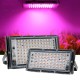 220V LED Grow Light Phytolamp Plants Full Spectrum LED Floodlight Flowers Seedlings Plant Growing Phyto Lamp